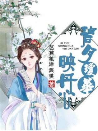 碧月琼华映丹心封面