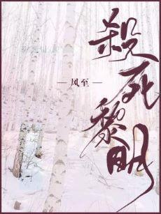 杀死黎明封面