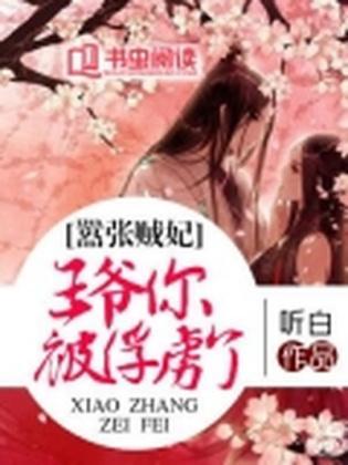 嚣张贼妃：王爷你被俘虏了封面