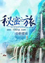 秘密之旅封面