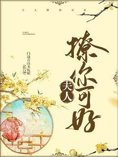 夫人，撩你可好封面