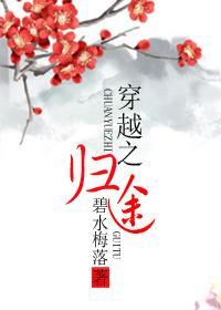 穿越之归途封面