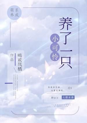 养了一只小可怜封面