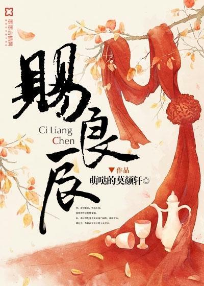 赐良辰封面