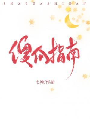 傻瓜指南封面