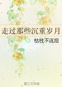 走过那些沈重岁月封面
