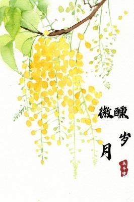 微醺岁月封面