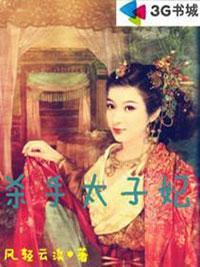 杀手太子妃封面