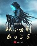 从小怪到BOSS封面