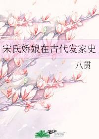 宋氏娇娘在古代发家史封面