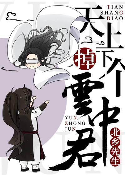 天上掉下个云中君封面
