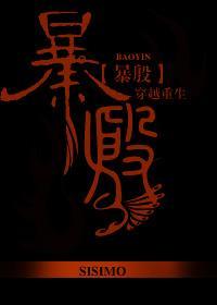 暴殷封面