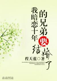我暗恋十年的兄弟要结婚了封面