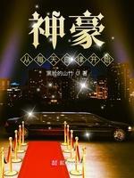 神豪从每天自律开始封面