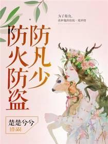 防火防盗防凡少封面