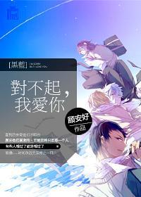 [黑蓝]对不起，我爱你封面