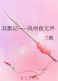 双都记——风州夜无声封面
