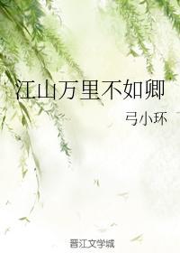 江山万里不如卿封面