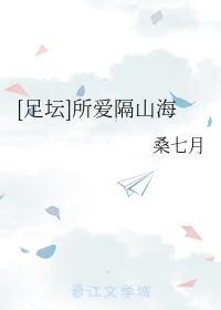 [足坛]所爱隔山海封面