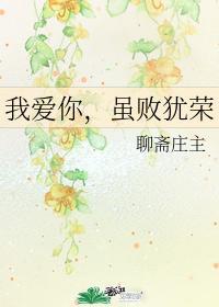 我爱你，虽败犹荣封面