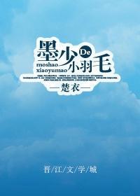 墨少的小羽毛封面