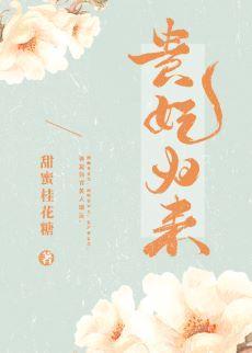 贵妃归来封面