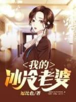 我的冰冷老婆封面