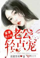 蜜妻新上线：老公，轻点宠！封面