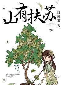 美人关封面