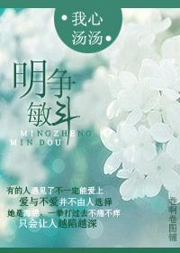 明争敏斗（豪门）封面