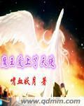 魔王爱上了天使封面