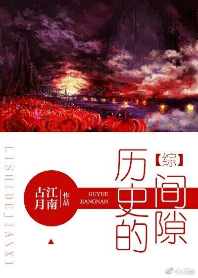 [综]历史的间隙封面