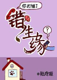 错生缘封面
