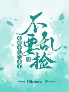 来路不明的弟子不要乱捡封面