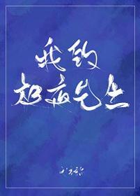 我的极夜先生封面