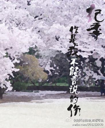 纪季，你是我不能言说的伤封面