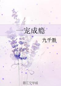 一宠成瘾封面