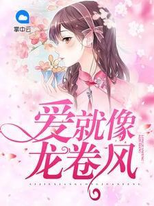 爱就像龙卷风封面