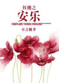 红楼之安乐封面