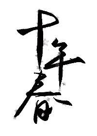 十年春封面