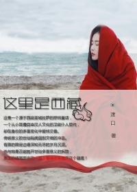 这里是西藏封面