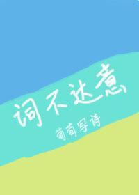 词不达意封面