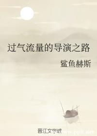 过气流量的导演之路封面