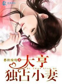 大亨独占小妻封面