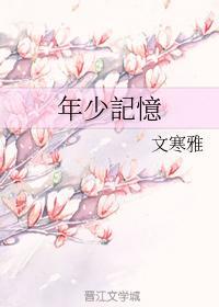 年少记忆封面