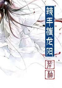 辣手摧龙阳封面