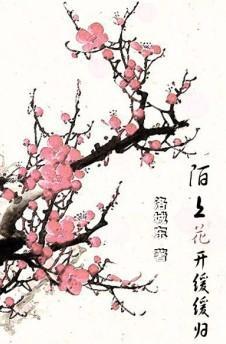 陌上花开缓缓归封面