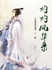 灼灼风华录封面