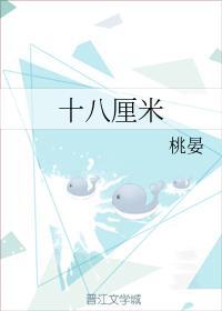 十八厘米封面