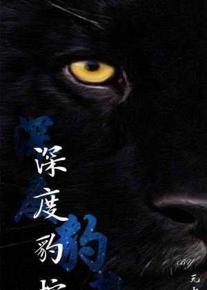 深度豹控封面